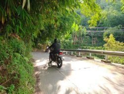 Peringatan dini bambu menjulur di jalan desa, berpotensi sebabkan kecelakaan