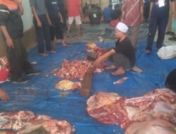 DUA KAMPUNG BERDEKATAN BERSAMA SAMA LAKSANAKAN PEMOTONGAN KURBAN DI HARI RAYA IDUL ADHA