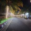 “Pohon Kelapa di Selakopi Cianjur: Dari Kontroversi Menjadi Ikon Kota yang Indah”