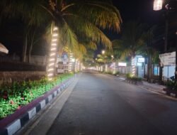 “Pohon Kelapa di Selakopi Cianjur: Dari Kontroversi Menjadi Ikon Kota yang Indah”