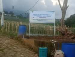 BUMDes Bina Mukti Abadi Padaluyu, Cianjur, Jadi Contoh Sukses Pengembangan Ekonomi Desa melalui Ketahanan Pangan dan Peternakan