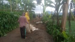 Jalan Cor 400 Meter di Sukamulya: Akses Mudah, Panen Melaju, Kesejahteraan Menanjak.