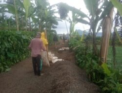 Jalan Cor 400 Meter di Sukamulya: Akses Mudah, Panen Melaju, Kesejahteraan Menanjak.