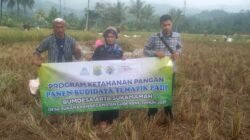 “Desa Sukamanah Cianjur Hadang Tengkulak: BUMDes Alokasikan Rp276 Juta untuk Lindungi Petani Lokal”