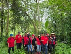 Tancap Gas Hijaukan Bumi: PDI Perjuangan Cianjur Tutup Rangkaian Tanam 10 Ribu Pohon di Sindangbarang