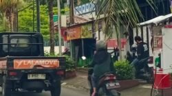 “Pohon Kelapa Mini di Cianjur Jadi Ancaman, Warga Minta Pemda Segera Bertindak”