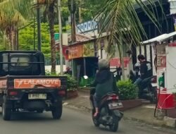 “Pohon Kelapa Mini di Cianjur Jadi Ancaman, Warga Minta Pemda Segera Bertindak”