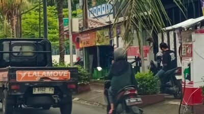 “Pohon Kelapa Mini di Cianjur Jadi Ancaman, Warga Minta Pemda Segera Bertindak”