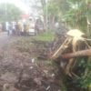 Rem Blong di Jalur Cianjur-Jakarta, Dua Truk Terjun ke Jurang dan Satu Orang Meninggal Dunia